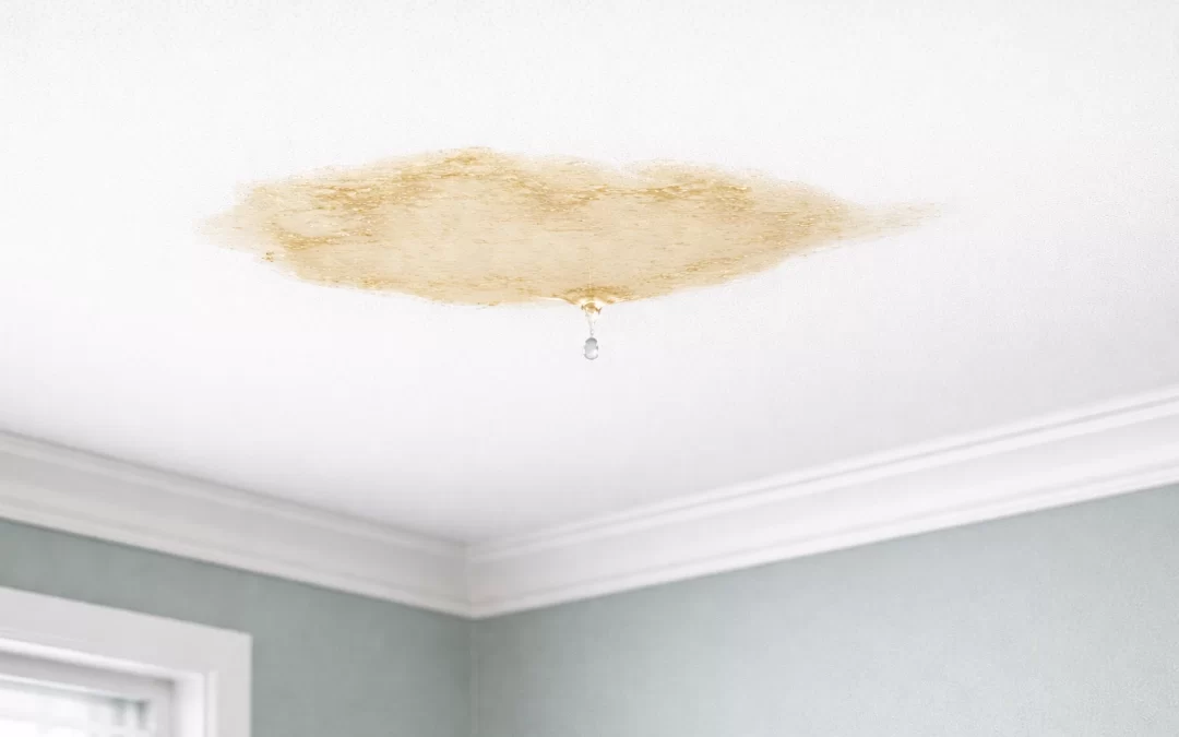 Leak Detection in South Florida: How Pros Find Hidden Leaks